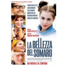 LA BELLEZZA DEL SOMARO