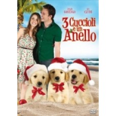TRE CUCCIOLI E UN ANELLO